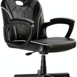 ACGAM Slim Chair Ergonomic Computer Desk Office Chair Black-0
