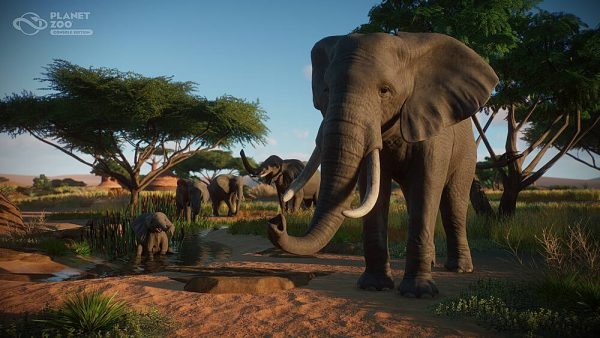 Planet Zoo Console Edition Wildlife Simulation Game-7